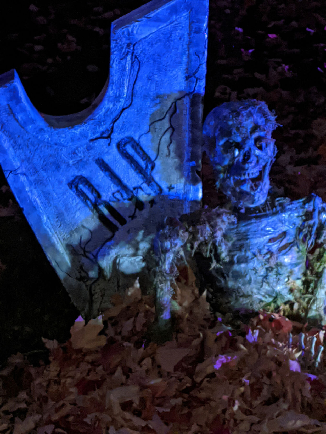 Halloween house 7800 Pershing Blvd.jpg